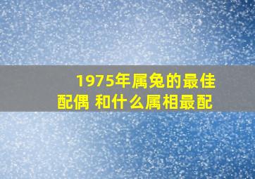 1975年属兔的最佳配偶 和什么属相最配